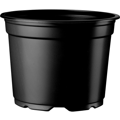 Thermoformed 5� Pot 10.5cm Low