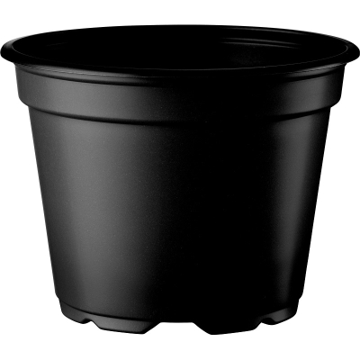 Thermoformed 8� Pot 9cm