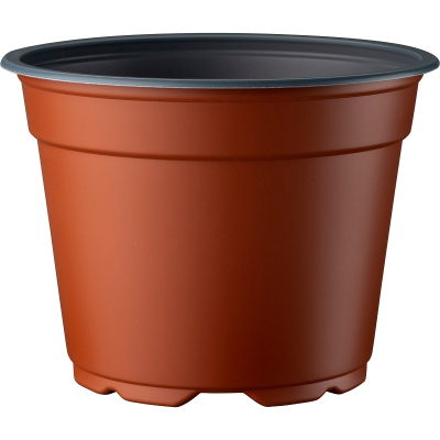 Thermoformed 8� Pot 12cm Low