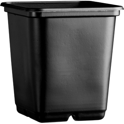 Square Pot 11 x 11 x 12 - NL Range