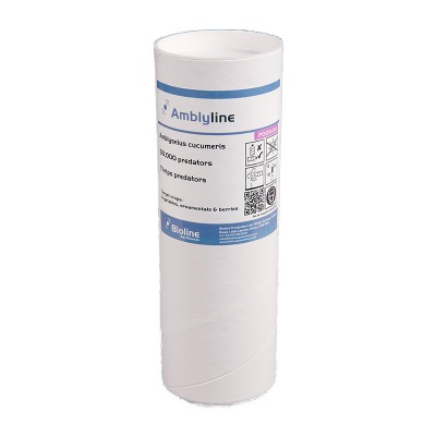 Amblyline Flo - 1L Tube