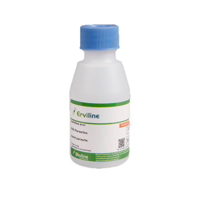 Erviline