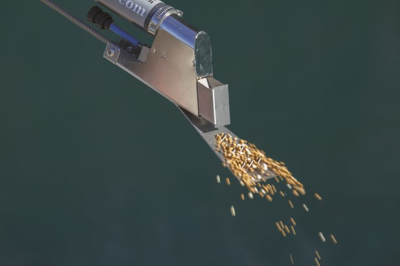 Engrow Fertil Five Applicator