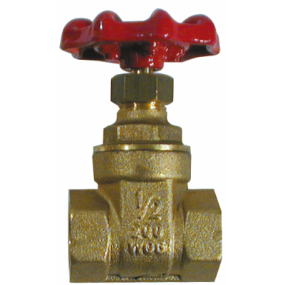 Gate Valve 1�Inch Female