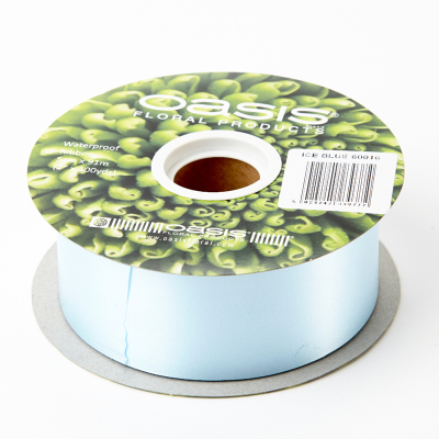 Poly Ribbon 50mm Ice Blue