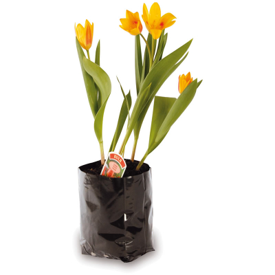 Hadopot HP11