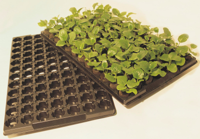 Jiffy-7 Pre-loaded growing tray 41mm in 60 cell