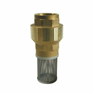 Foot Valve 2Inch Female