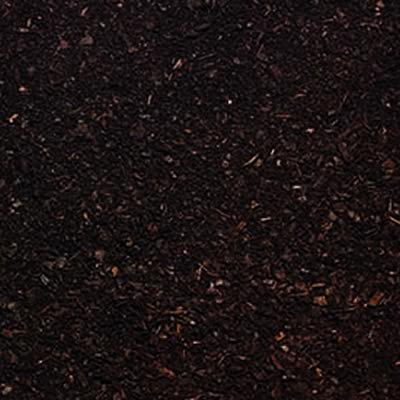 Melcourt Growbark&reg; Pine