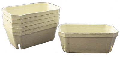 Pulp Punnet Rectangular 500g