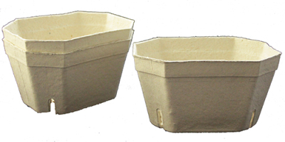 Pulp Punnet Rectangular 1Kg