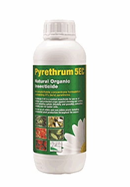 Pyrethrum 5 EC 5L