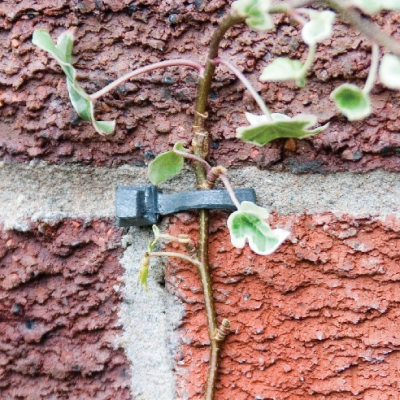 Lead Headed Nails