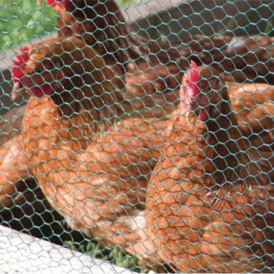 PVC Coated Wire Netting (25mm) 0.5m x 10m