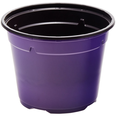 Duo ® 8� Low Pot 13cm