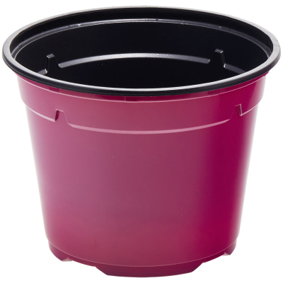 Duo ® 8� Low Pot 14cm
