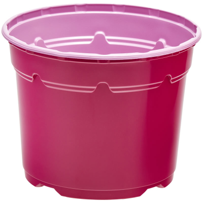 Duo ® 5� Low Pot 2L