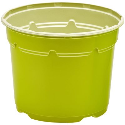 Duo ® 5� Low Pot 3L