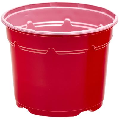 Duo ® 5� Low Pot 2L