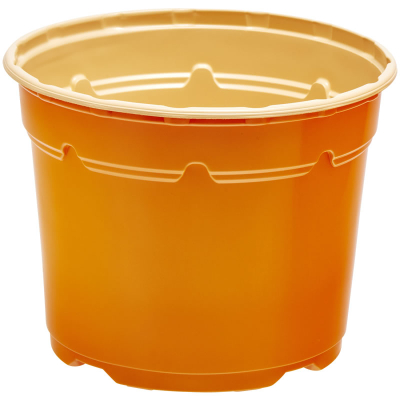 Duo ® 5� Low Pot 2L