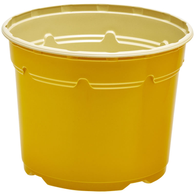 Duo ® 5� Low Pot 3L