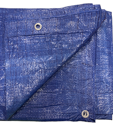 Tarpaulin with Eyelets 3.5 x 2.7m Blue