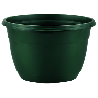 Hanging Basket 20cm + 33cm Hanger Pine Green