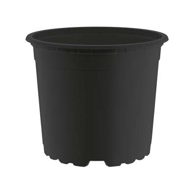 Teku� VCG 10 Round Pot