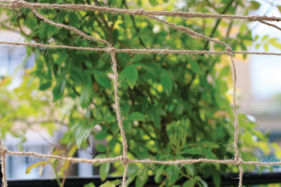 Jute Support Netting