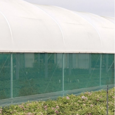 Monofilament 50% Windbreak 1.5 x 50m