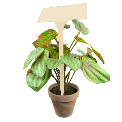 Angled Head Display Label 38cm - Beige