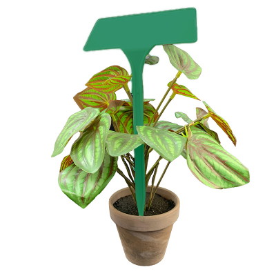 Angled Head Display Label 38cm - Green