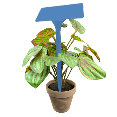 Angled Head Display Label 27cm - Blue