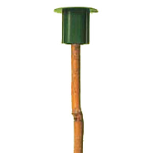 Thin Cane Caps