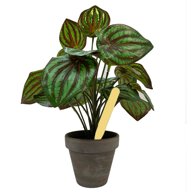 Pot Labels 10cm - Beige