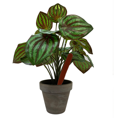 Pot Labels 10cm - Brown