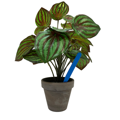Pot Labels 12.5cm - Blue