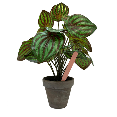 Pot Labels 12.5cm - Pink
