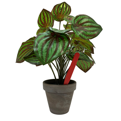 Pot Labels 12.5cm - Red