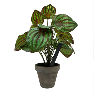 Pot Labels 12.5cm - Black
