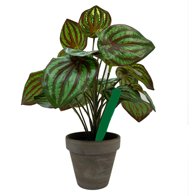Pot Labels 12.5cm - Green