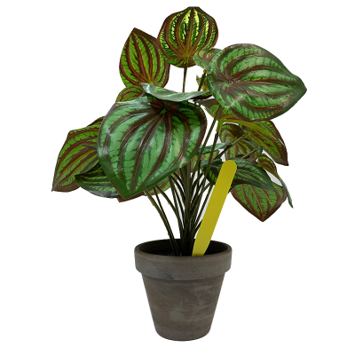 Pot Labels 20cm - Yellow