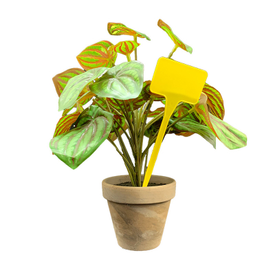 Flat Head Display 'T' Labels 15cm - Yellow