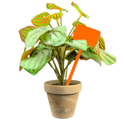 Flat Head Display 'T' Labels 15cm - Orange