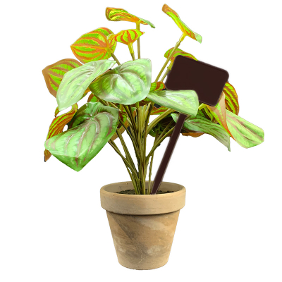 Flat Head Display 'T' Labels 15cm - Black