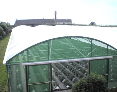 Sunmaster Clear Polytunnel Cover 9.2m x 10m