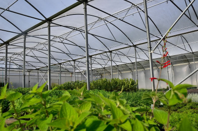 Sunmaster Superthermic Polytunnel Cover 7.3m x 25m