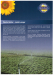 HortiWet 5L