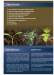 HortiWet 5L