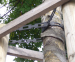 Chainlock Tree Tie  No4